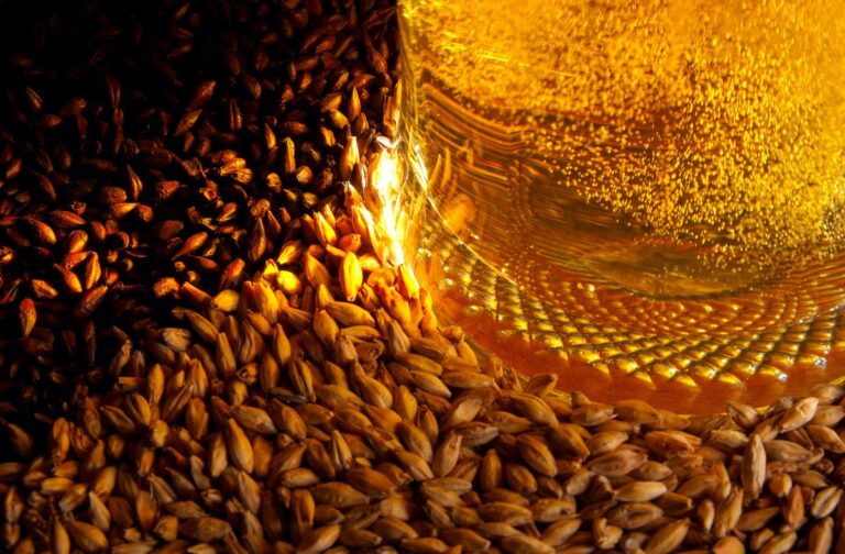 article La bière artisanale :une consommation plus responsable